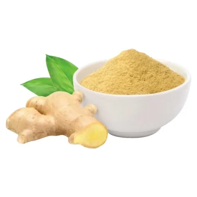Gingembre en Poudre – Épice Tonique 50g – Image 2
