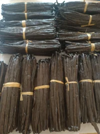 250g Vanille Bourbon Noire Gourmet 16 cm+