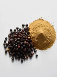 un petit tas de grains de poivre noir et du poivre noir moulu à côté sur fond entièrement blanc. Le format de limage est png et est sans fond.