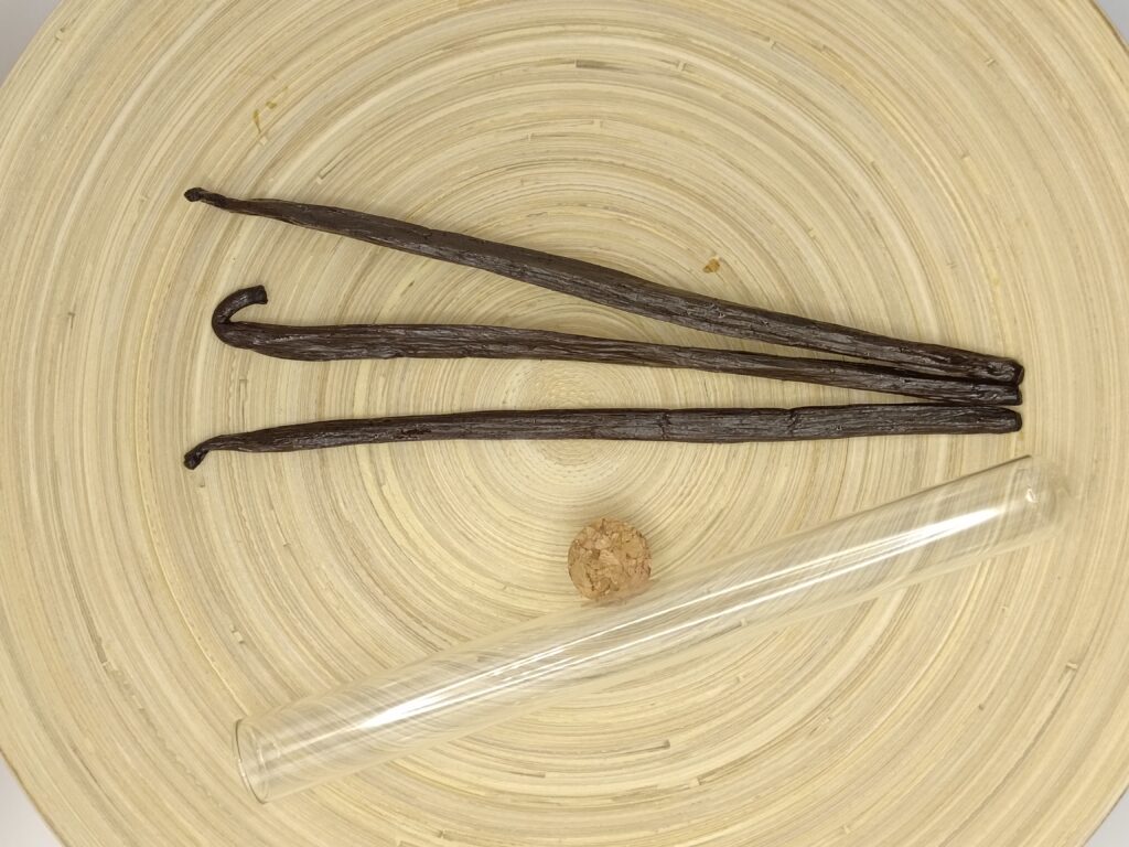 Tube en verre contenant trois gousses de vanille noire gourmet Noble Gousse
