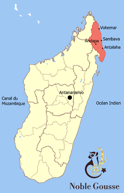 vanille SAVA Noble Gousse